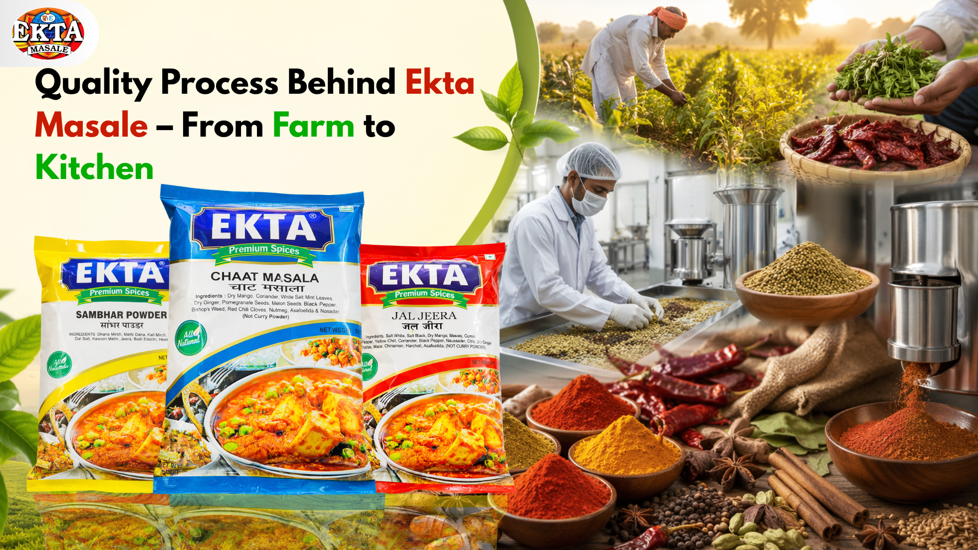 Quality Process Behind Ekta Masale